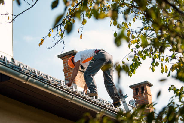 Best Roof Gutter Cleaning  in Heritage Lake, IN